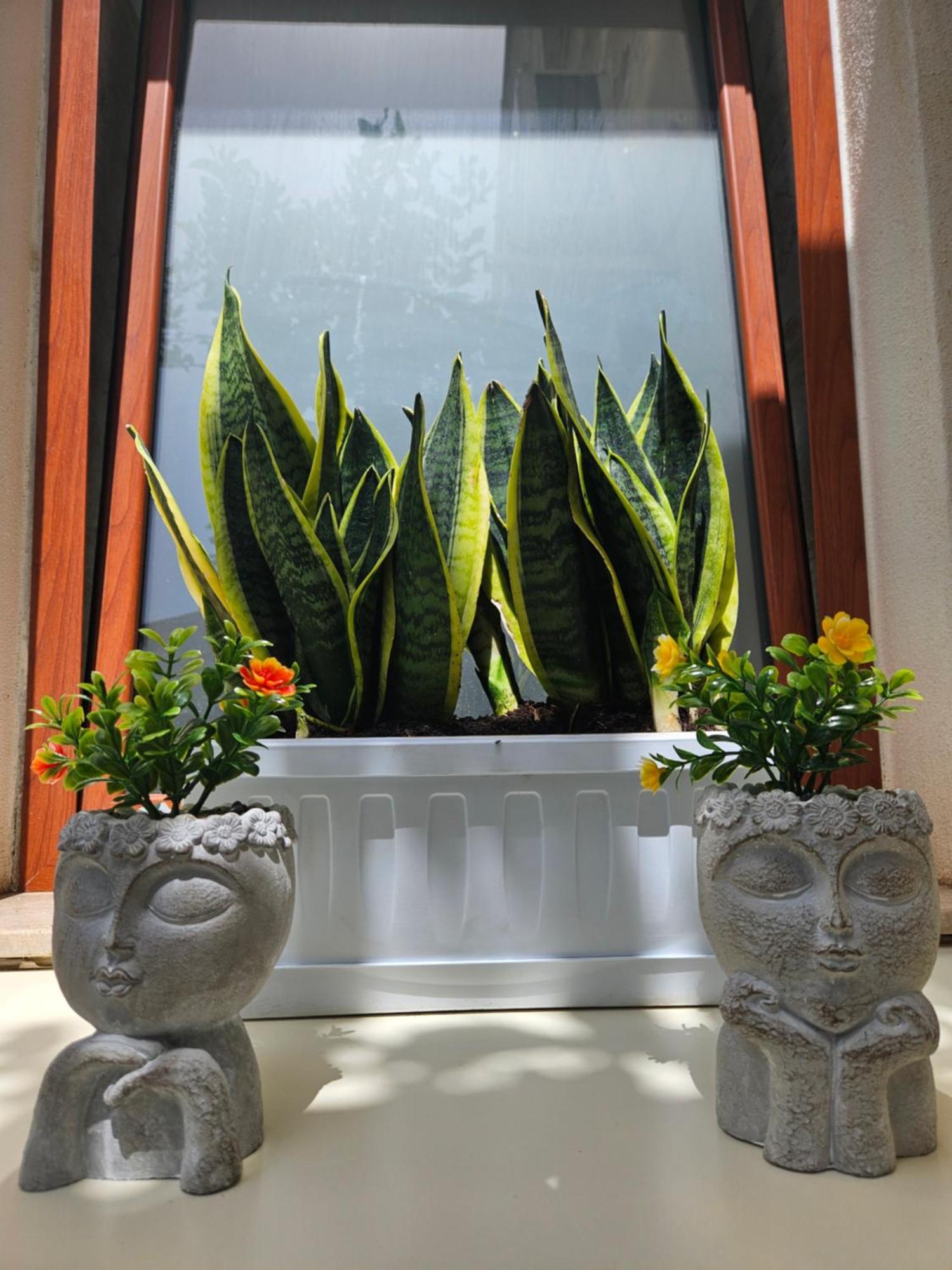 Apartment Guru House Milazzo